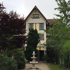 Egmont Mountain House